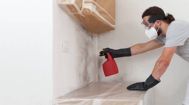 Professional Attic Mold Removal technician working in Baldwin, MI