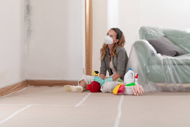 Reliable Attic Mold Removal contractor in Baldwin, MI by WQB Mold Removal